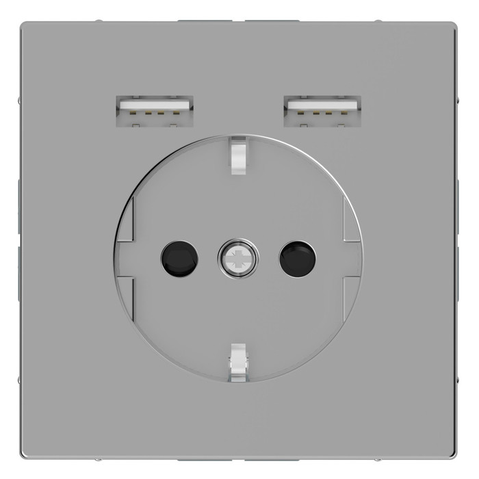 Розетка с 2xUSB Schneider Electric MERTEN D-LIFE, скрытый монтаж, с заземлением, нержавеющая сталь, MTN2366-6036